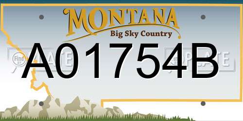 A01754B Montana License Plate