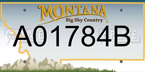 A01784B Montana License Plate