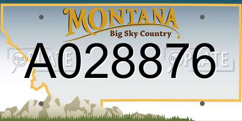 A028876 Montana License Plate