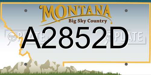A2852D Montana License Plate