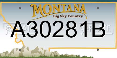 A30281B Montana License Plate