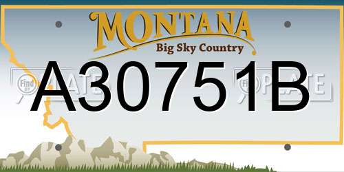 A30751B Montana License Plate