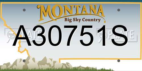 A30751S Montana License Plate