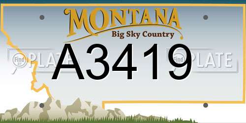 A3419 Montana License Plate