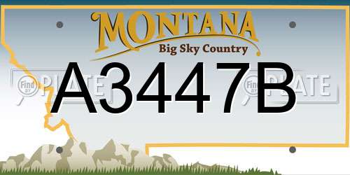 A3447B Montana License Plate