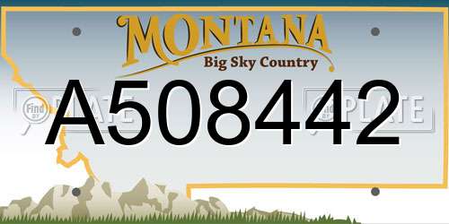 A508442 Montana License Plate