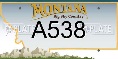 A538 Montana License Plate