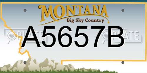A5657B Montana License Plate