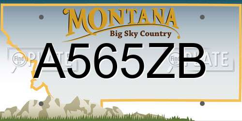 A565ZB Montana License Plate