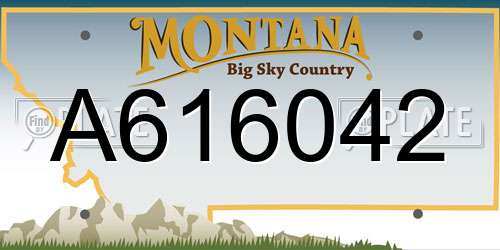 A616042 Montana License Plate