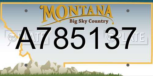 A785137 Montana License Plate