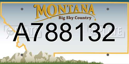 A788132 Montana License Plate