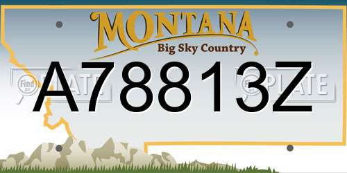 A78813Z Montana License Plate