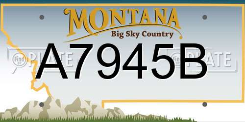 A7945B Montana License Plate