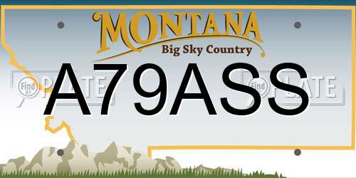 A79ASS Montana License Plate