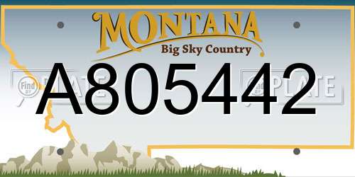A805442 Montana License Plate
