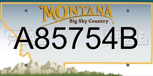 A85754B Montana License Plate