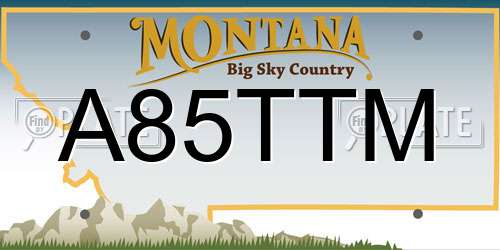 A85TTM Montana License Plate