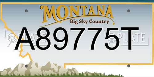 A89775T Montana License Plate