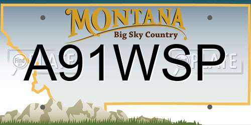 A91WSP Montana License Plate