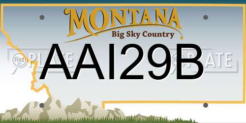 AAI29B Montana License Plate