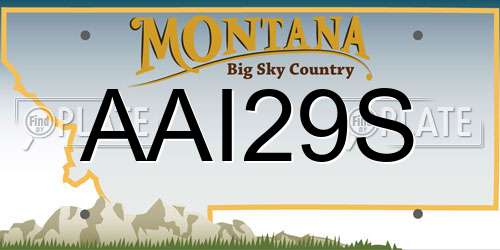 AAI29S Montana License Plate