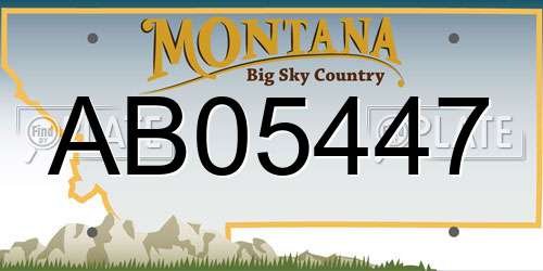 AB05447 Montana License Plate