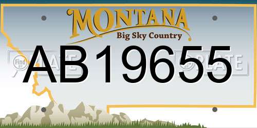 AB19655 Montana License Plate