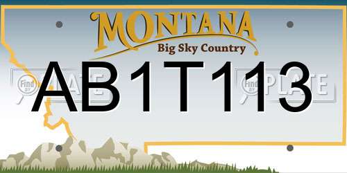 AB1T113 Montana License Plate