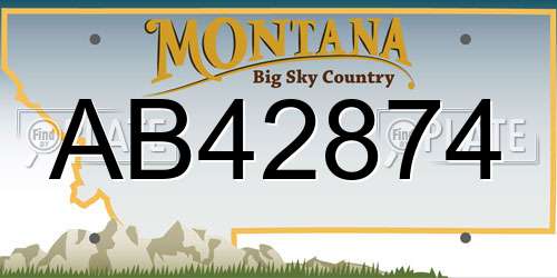 AB42874 Montana License Plate