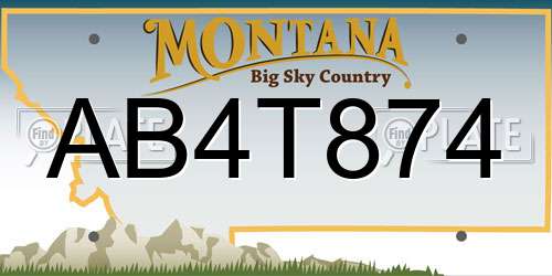 AB4T874 Montana License Plate