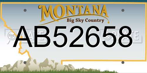 AB52658 Montana License Plate