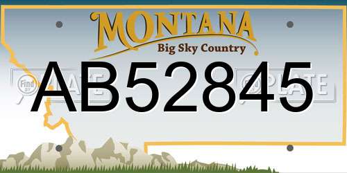 AB52845 Montana License Plate