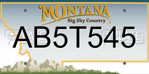 AB5T545 Montana License Plate