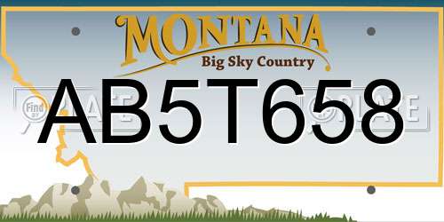 AB5T658 Montana License Plate