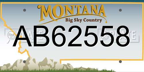 AB62558 Montana License Plate