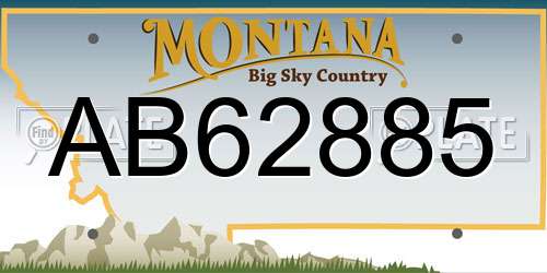 AB62885 Montana License Plate