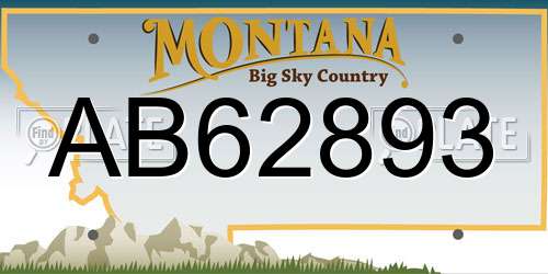 AB62893 Montana License Plate