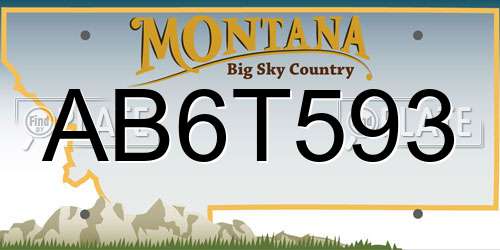 AB6T593 Montana License Plate
