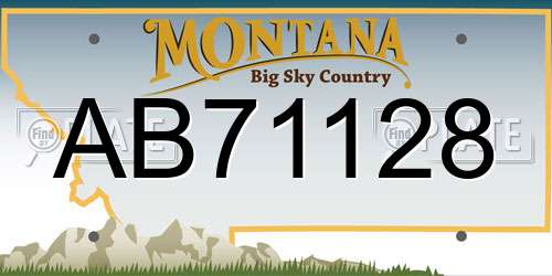 AB71128 Montana License Plate