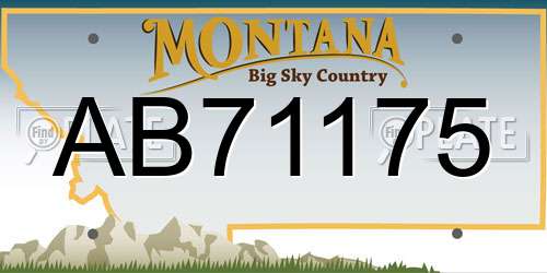 AB71175 Montana License Plate