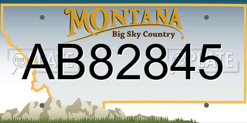 AB82845 Montana License Plate