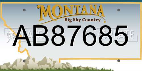 AB87685 Montana License Plate