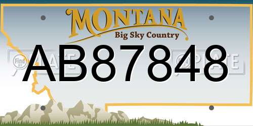 AB87848 Montana License Plate