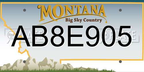 AB8E905 Montana License Plate
