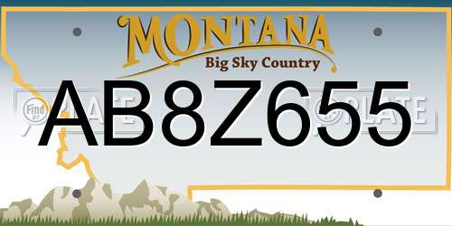 AB8Z655 Montana License Plate