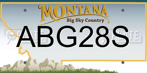 ABG28S Montana License Plate