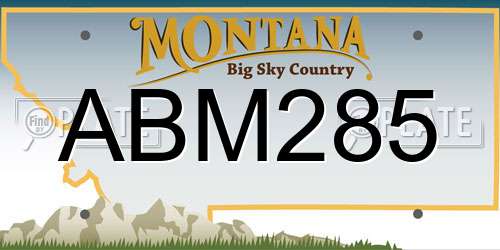 ABM285 Montana License Plate