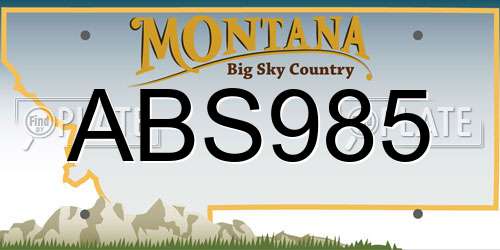 ABS985 Montana License Plate