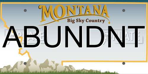 ABUNDNT Montana License Plate